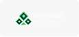 netgame